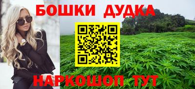 гашик Моздок