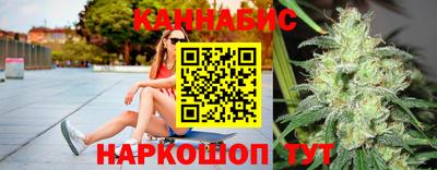 гашик Моздок