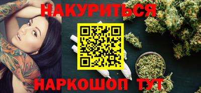 гашик Моздок