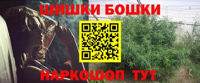 гашик Моздок