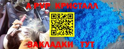 гашик Моздок