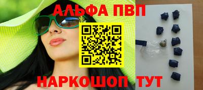 гашик Моздок