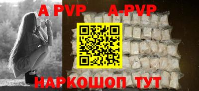 гашик Моздок