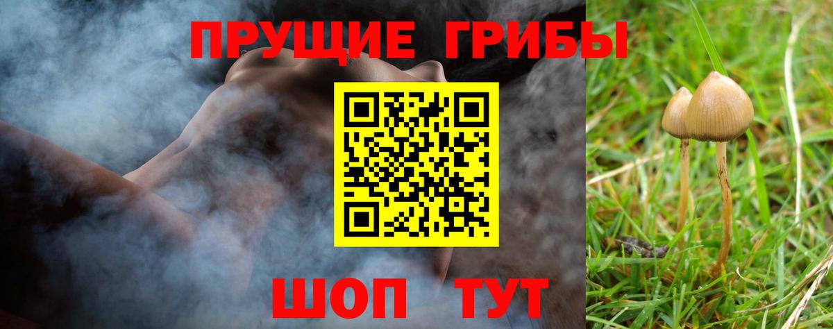 Галлюциногенные грибы Psilocybine cubensis  Вход с VPN  хочу   Чебоксары 